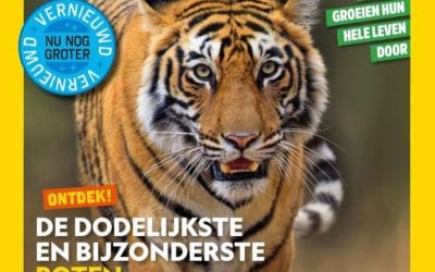 Tijdschriften voor kinderen van 10 jaar (groep 7)